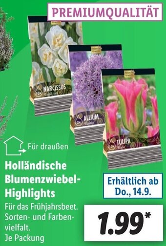 Lidl Holländische Blumenzwiebel-Highlights Angebot