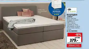 Lidl Sun Garden Boxspringbett „cairns” Angebot