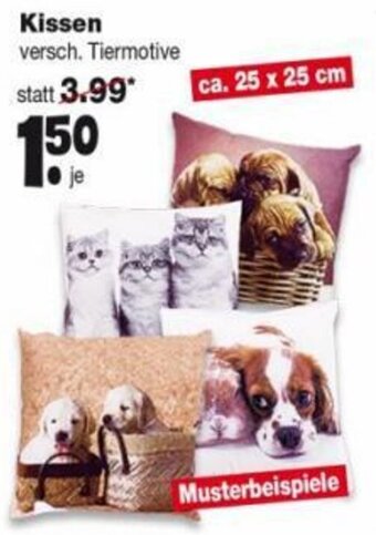 Repo Markt Kissen Angebot