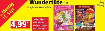 Norma Wundertüte Angebot