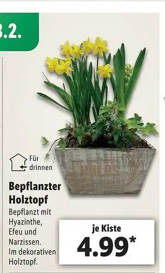 Lidl Bepflanzter Holztopf Angebot