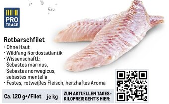 METRO Rotbarschfilet Angebot