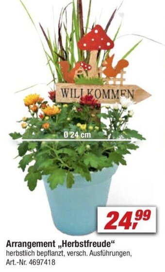 toom Baumarkt Arrangement Herbstfreud Angebot