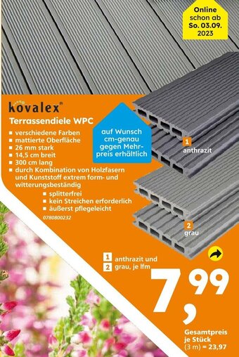 Globus Baumarkt kovalex Terrassendiele WPC Angebot