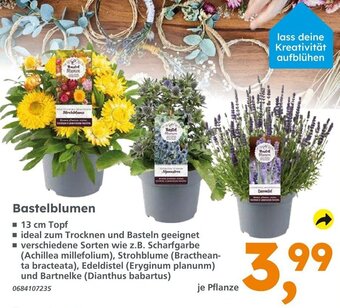 Globus Baumarkt Bastelblumen Angebot