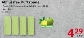 Selgros Abflussfee Duftsteine Angebot