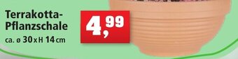 Thomas Philipps Terrakotta Pflanzschale Angebot