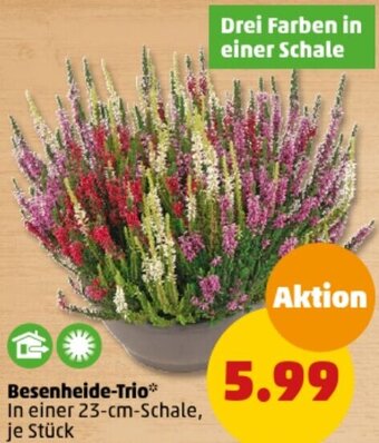 PENNY Besenheide-Trio Angebot