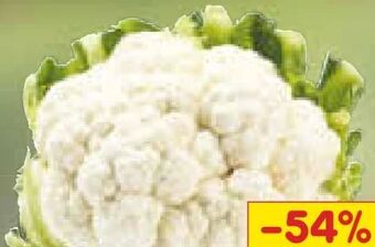 Netto Marken-Discount Blumenkohl Angebot
