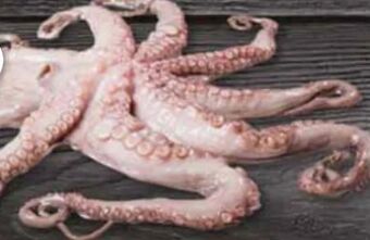 Edeka Frischemarkt Pulpo Angebot