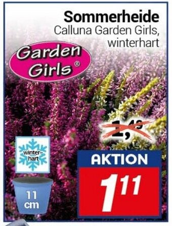 CENTERSHOP Garden Girls Sommerheide Angebot