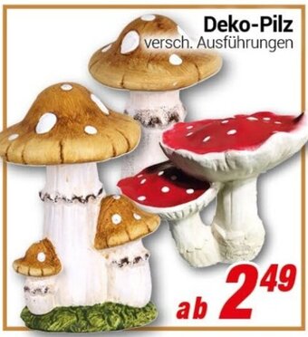 CENTERSHOP Deko-Pilz Angebot