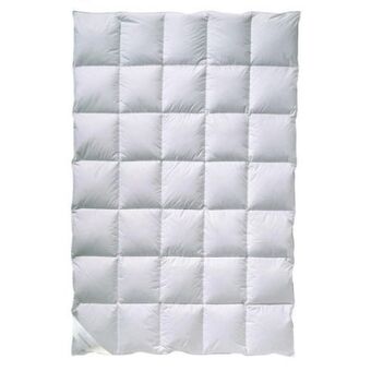 XXXLutz Daunendecke mono polarstern Angebot