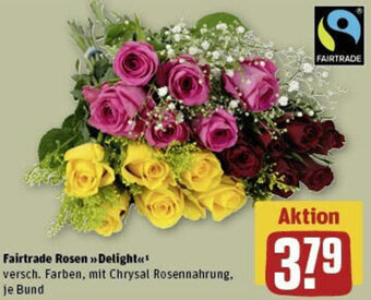 REWE Fairtrade Rosen Delight Angebot