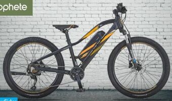 Aldi Nord E-mountainbike graveler Angebot