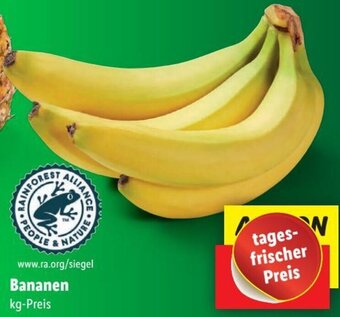 Lidl Bananen Angebot