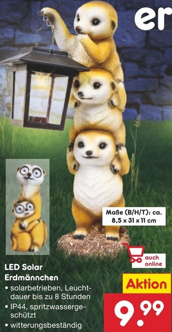 Netto Marken-Discount LED Solar Erdmännchen Angebot