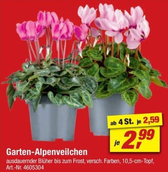 toom Baumarkt Garten-Alpenveilchen Angebot
