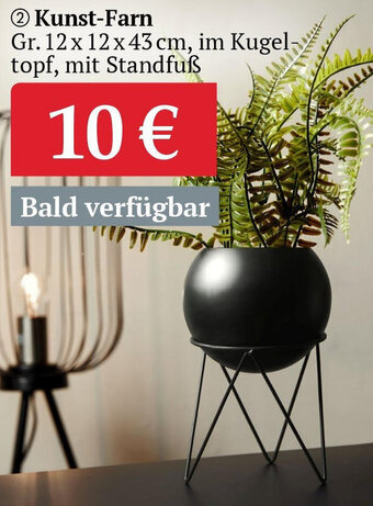 Woolworth Kunst Farn Angebot