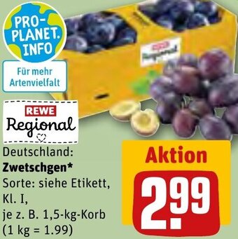 REWE Center Zwetschgen 1,5 kg Korb Angebot