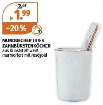 Müller Mundbecher oder Zahnbürstenköcher Angebot