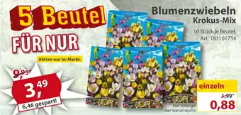 Sonderpreis Baumarkt Blumenzwiebeln Krokus Mix Angebot