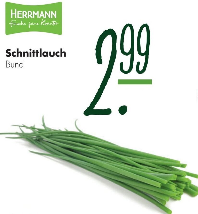 Handelshof HERRMANN Schnittlauch Angebot