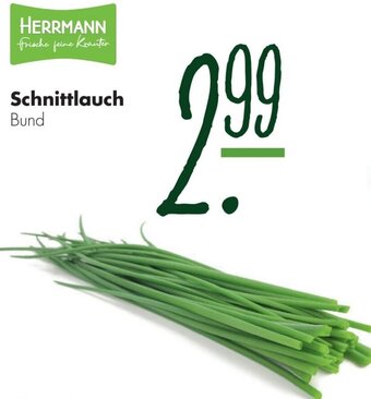 Handelshof HERRMANN Schnittlauch Angebot