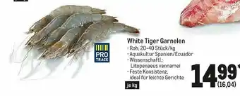 METRO Pro Trace White Tiger Garnelen Angebot