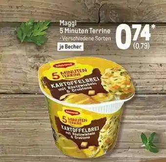 METRO Maggi 5 Minuten Terrine Angebot
