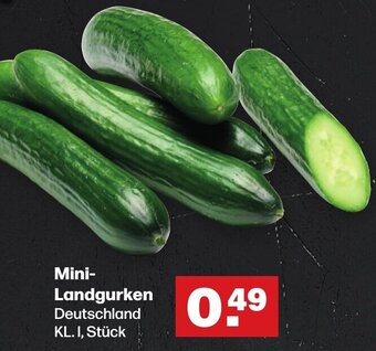 Handelshof Mini Landgurken Angebot