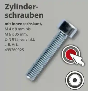 Sonderpreis Baumarkt Zylinderschrauben Angebot