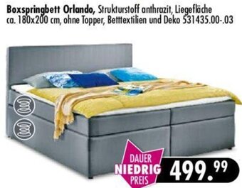 Möbel Boss Boxspringbett Orlando Angebot