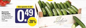 WEZ Deutsche Minigurken Angebot