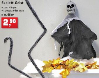 Thomas Philipps Skelett-Geist Angebot