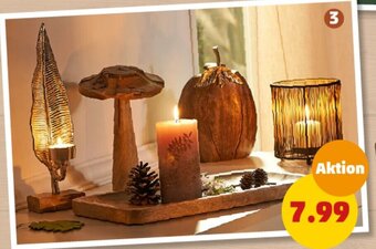 PENNY Mangoholz-Deko Angebot