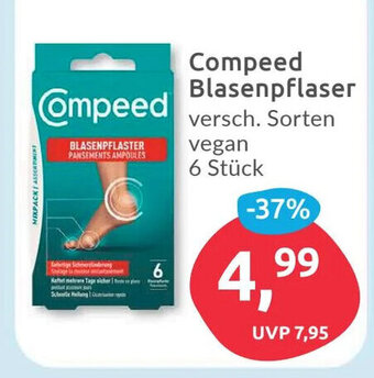 Budni Compeed Blasenpflaser versch. Sorten vegan 6 Stück Angebot