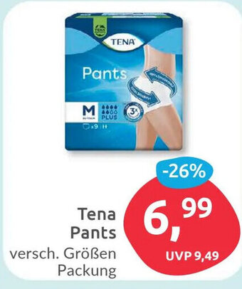 Budni Tena Pants versch. Größen Angebot