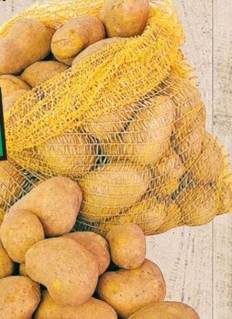Thomas Philipps Speisekartoffeln Angebot