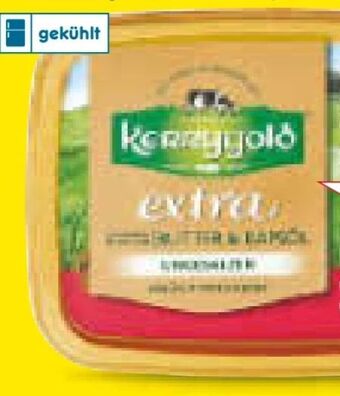 Netto Marken-Discount Extra gesalzen Angebot