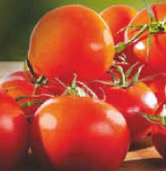 Netto Marken-Discount Rispen-tomaten Angebot