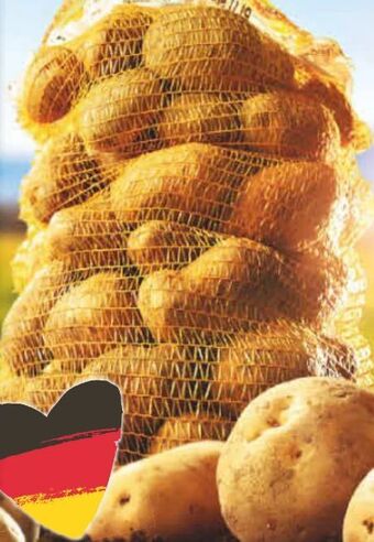 Netto Marken-Discount Speisekartoffeln Angebot