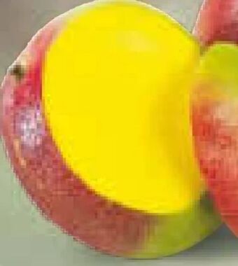 Netto Marken-Discount Mango Angebot