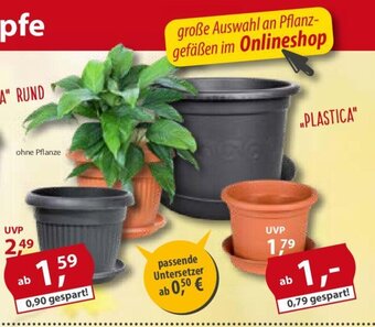 Sonderpreis Baumarkt versch. Pflanztöpfe Angebot