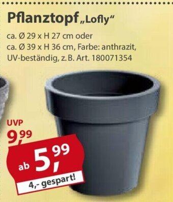 Sonderpreis Baumarkt Pflanztopf "Lofly" Angebot