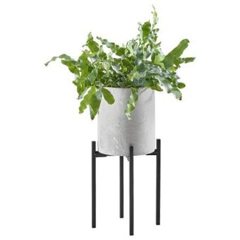 XXXLutz Pflanztopf Angebot