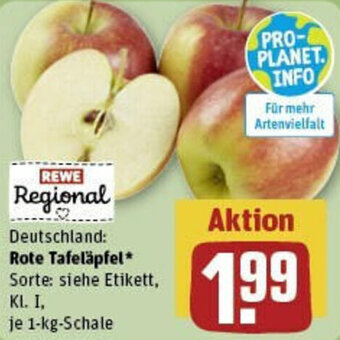 REWE Rote Tafeläpfel 1 kg Schale Angebot