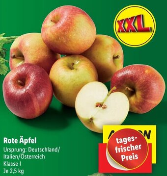 Lidl Rote Äpfel 2,5 kg Angebot