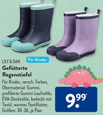 Aldi Süd LILY & DAN Gefütterte Regenstiefel Angebot