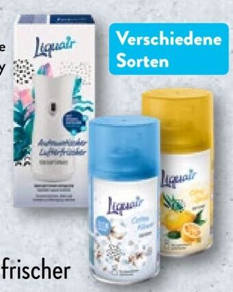 Aldi Nord Lufterfrischer citronella Angebot